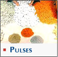 Pulses